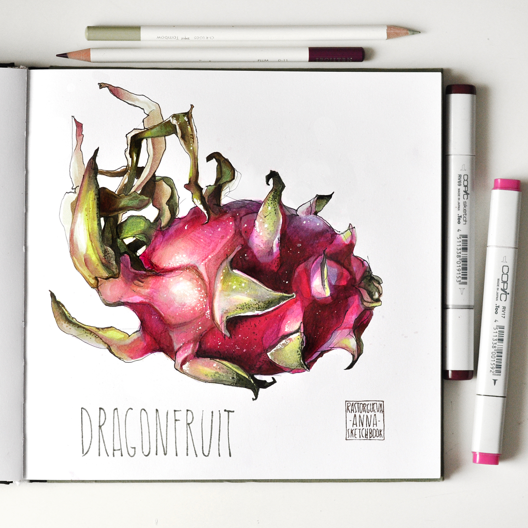 Драгонфрут спиртовыми маркерами - Расторгуева (201_0.jpg